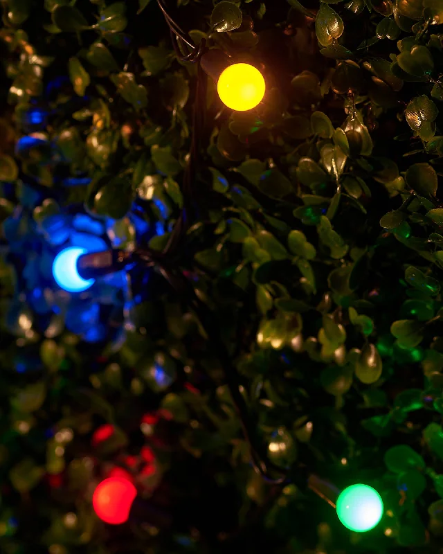 LINK UP LED Berry Lights, Black Cable, Multi Colour